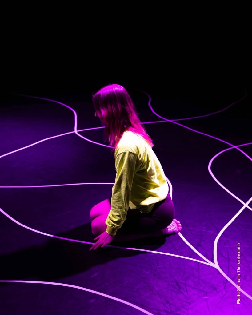 Steinunn Thorsteinsdottir