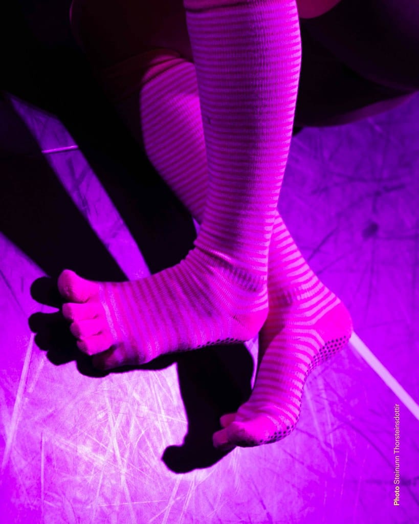 Steinunn Thorsteinsdottir