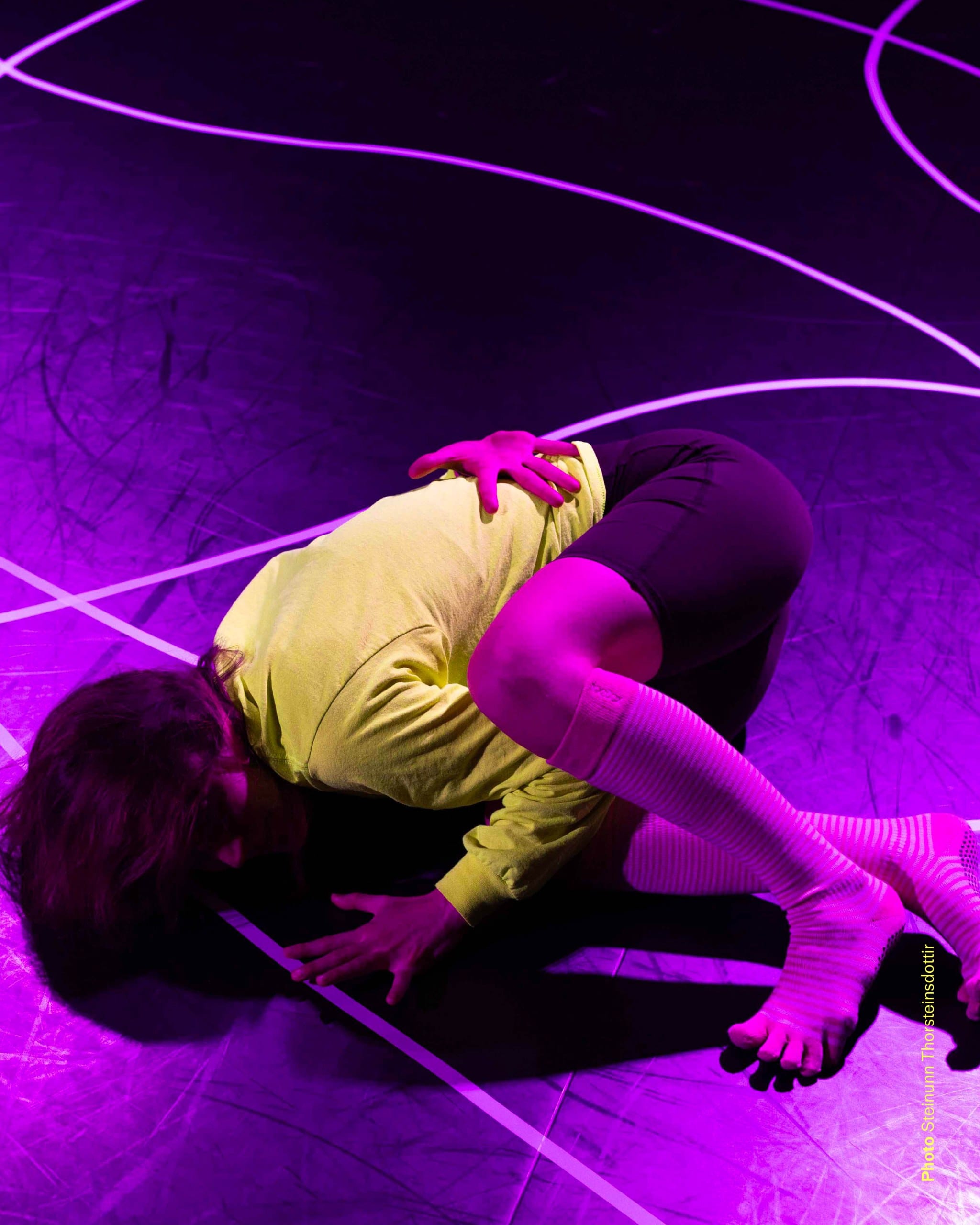 Steinunn Thorsteinsdottir