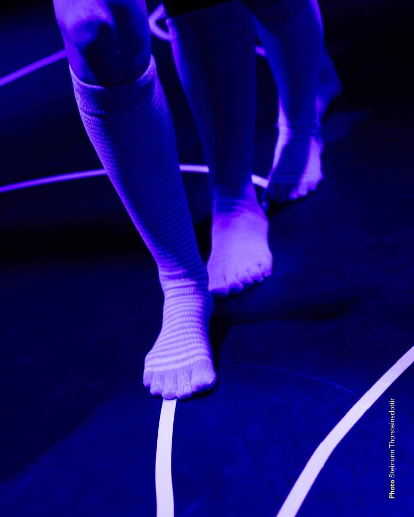 Steinunn Thorsteinsdottir