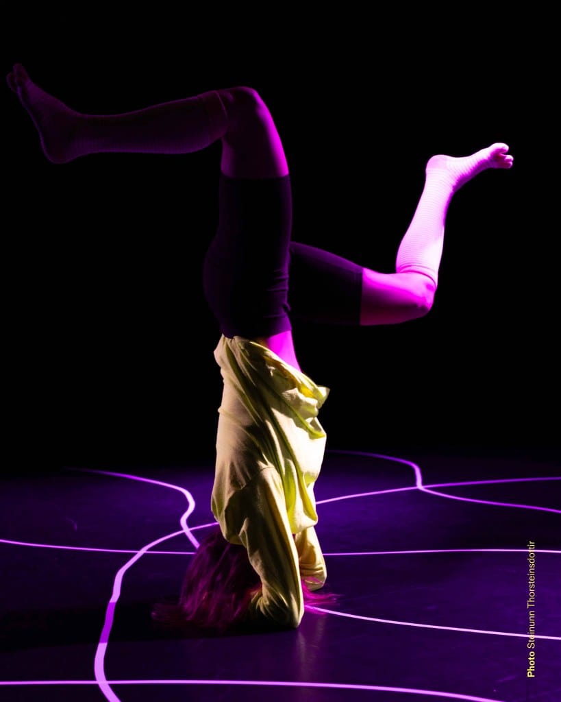 Steinunn Thorsteinsdottir